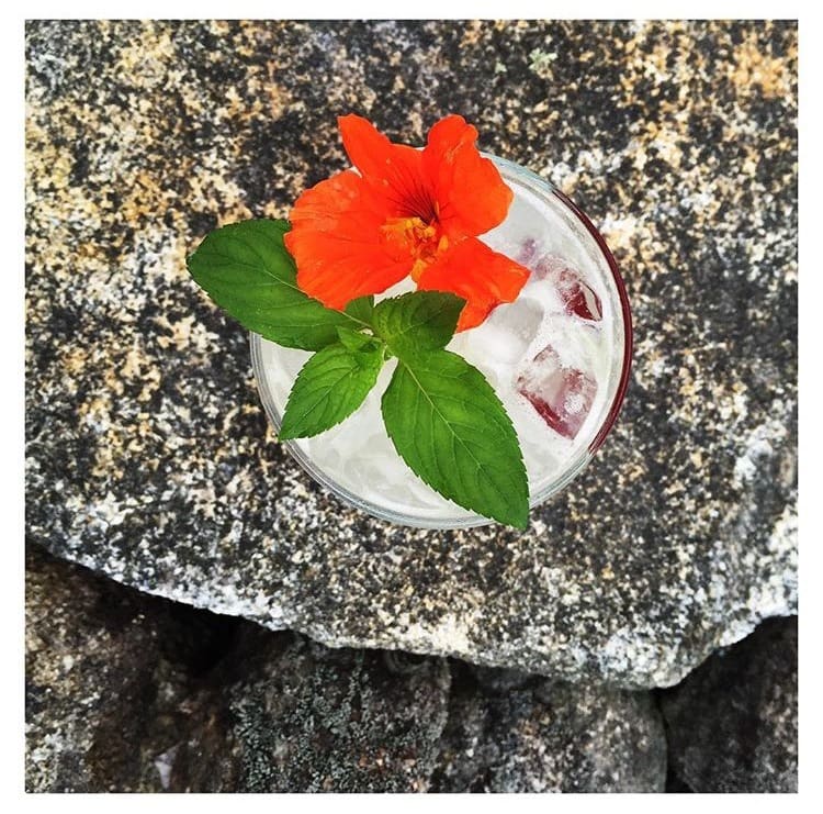 Little-bitte-cocktail-artisanal-catering-bar-3