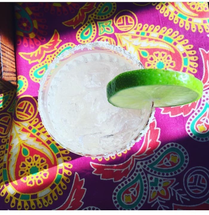 spicy rita margarita little bitte paisley