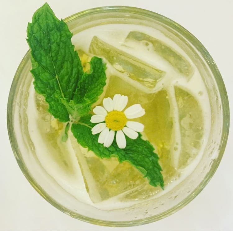 gindaisy.jpg