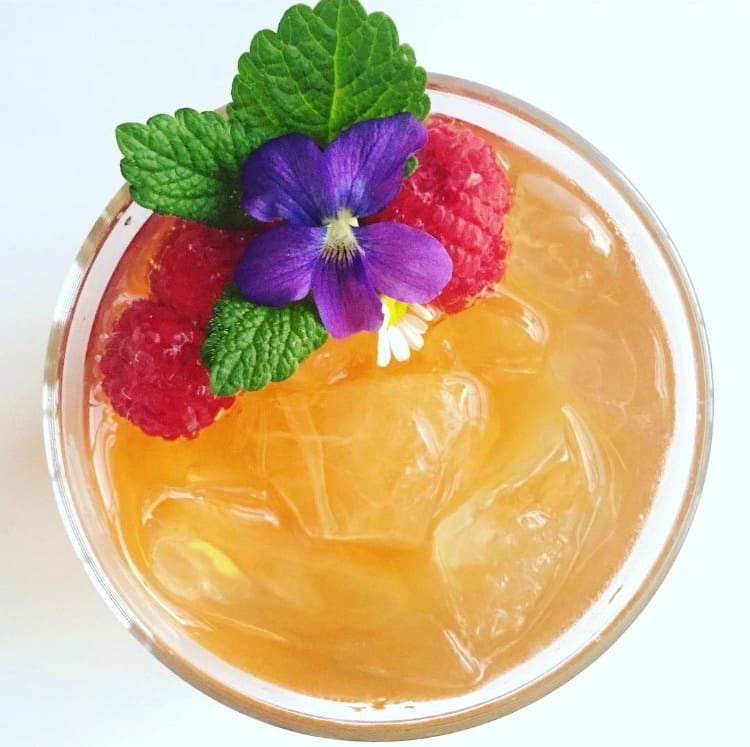 pimms-cup-R&D-2016