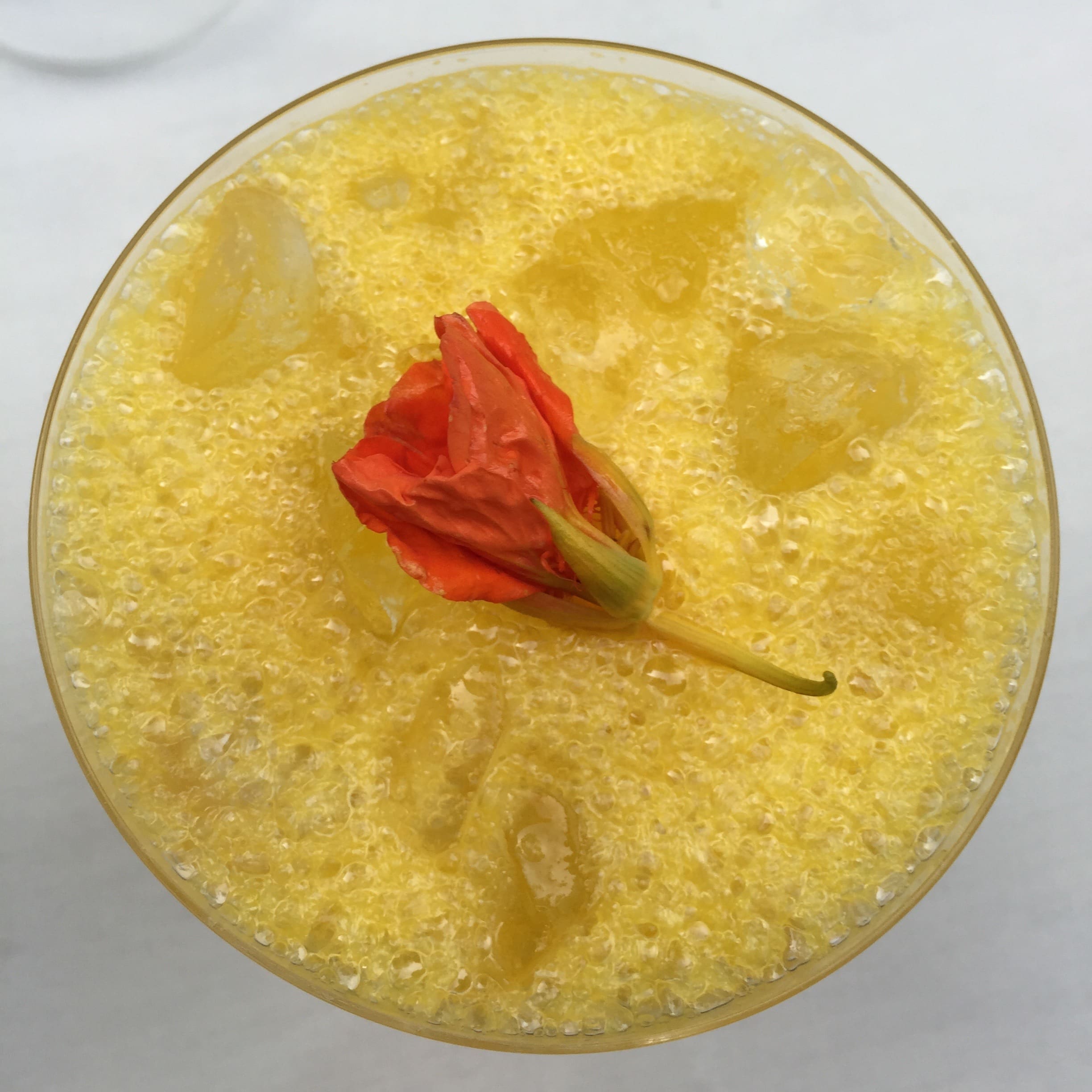 little-bitte-cocktails-21