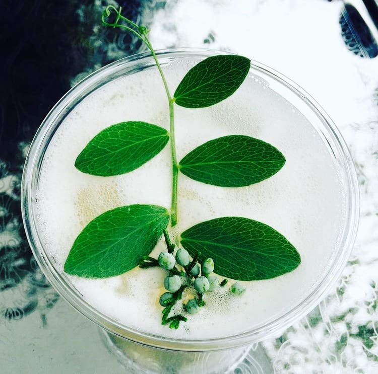 little-bitte-solstice-spritz