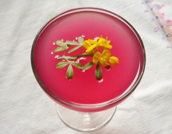 rhubarb-bitte-home-show.jpg
