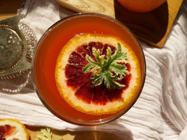 2-blood-orange..jpg