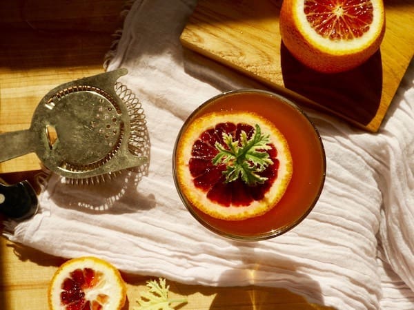 7-birds-eye-bloose-orange..jpg